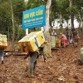 people carrying crates on their back