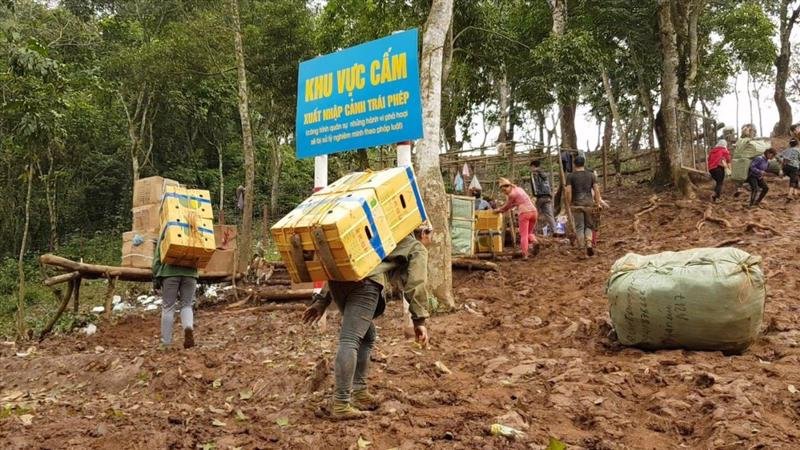 people carrying crates on their back