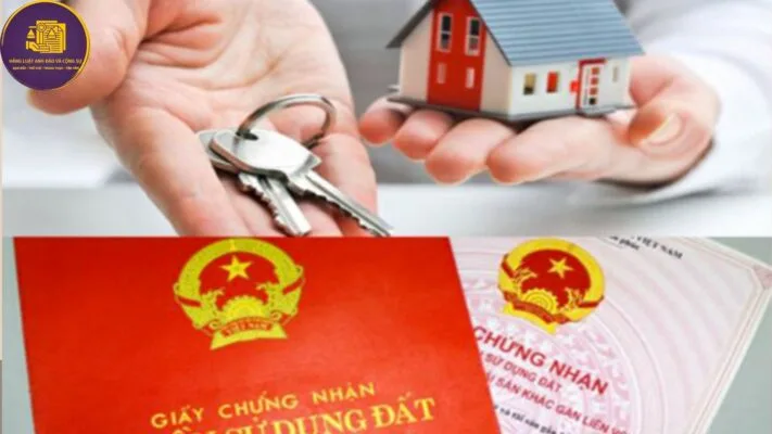 Giấy chứng nhận quyền sử dụng đất