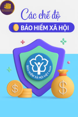Các chế độ bảo hiểm xã hội