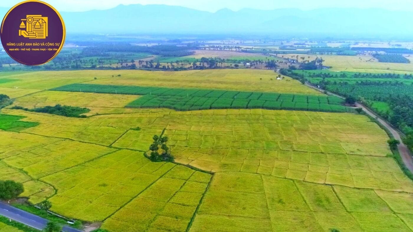 giao đất cho hộ gia đình