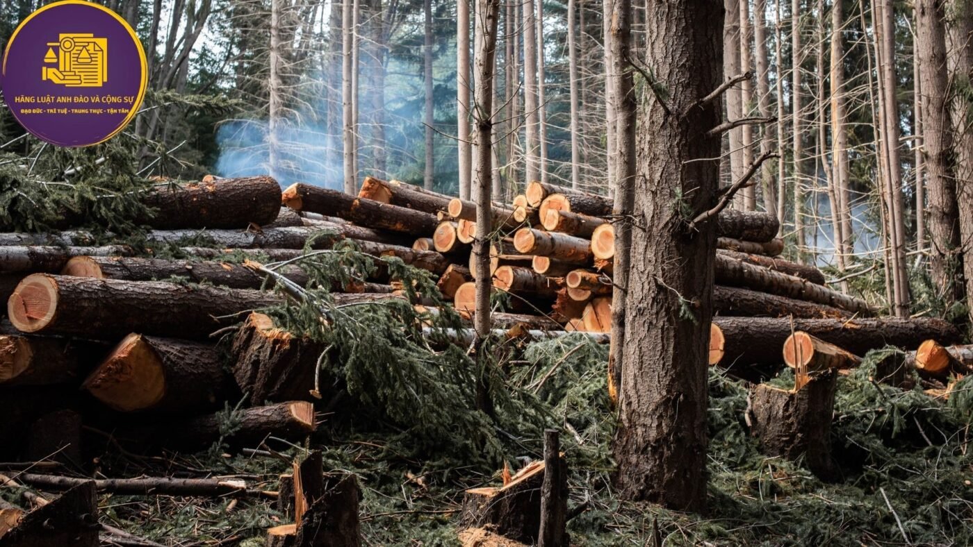 tội hủy hoại rừng